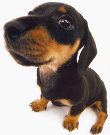 ���-���!