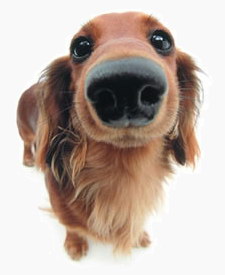 ���-���!